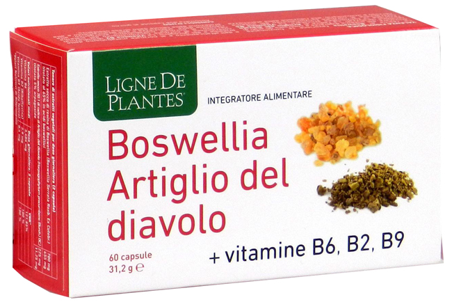 Immagine del prodotto